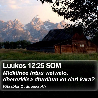 Luukos 12:25 SOM Bible Verse Image