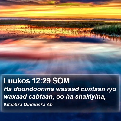 Luukos 12:29 SOM Bible Verse Image