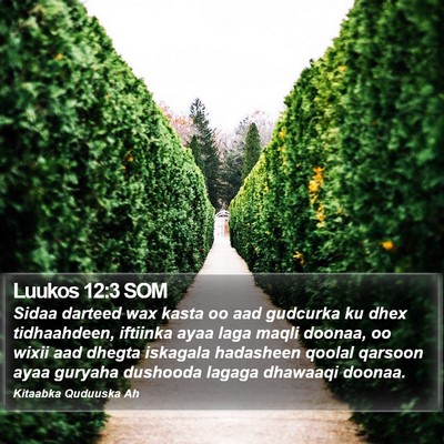 Luukos 12:3 SOM Bible Verse Image