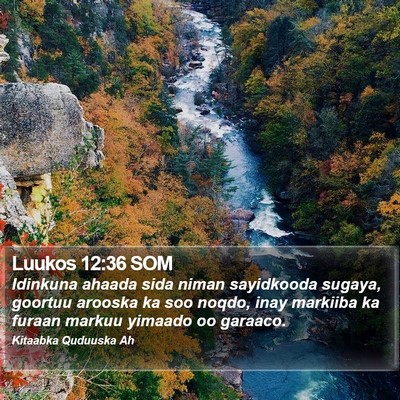 Luukos 12:36 SOM Bible Verse Image
