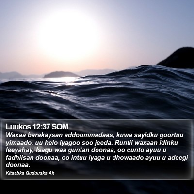 Luukos 12:37 SOM Bible Verse Image