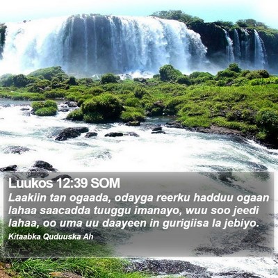Luukos 12:39 SOM Bible Verse Image