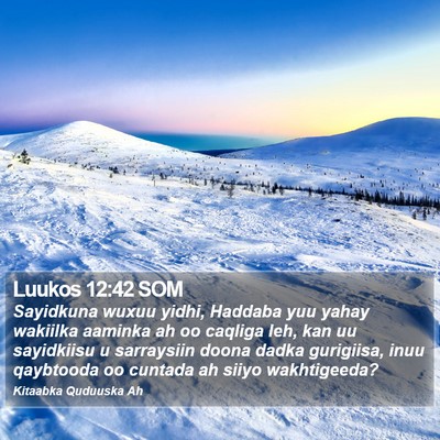 Luukos 12:42 SOM Bible Verse Image