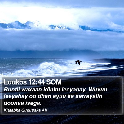 Luukos 12:44 SOM Bible Verse Image