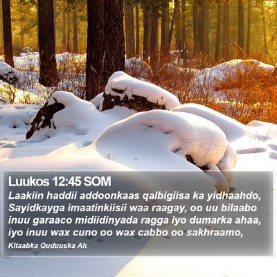 Luukos 12:45 SOM Bible Verse Image