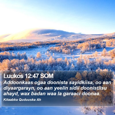 Luukos 12:47 SOM Bible Verse Image