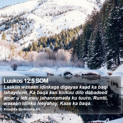 Luukos 12:5 SOM Bible Verse Image