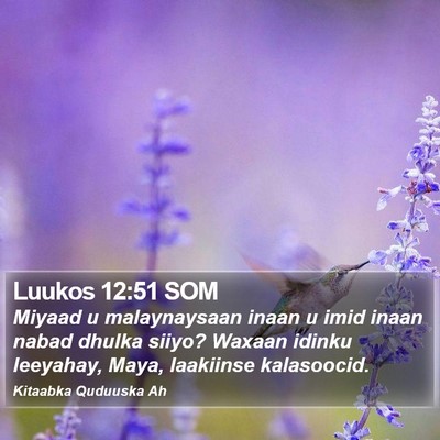 Luukos 12:51 SOM Bible Verse Image