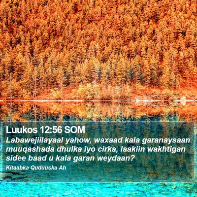 Luukos 12:56 SOM Bible Verse Image