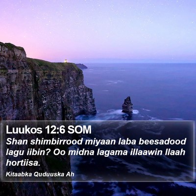Luukos 12:6 SOM Bible Verse Image