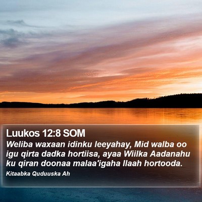 Luukos 12:8 SOM Bible Verse Image