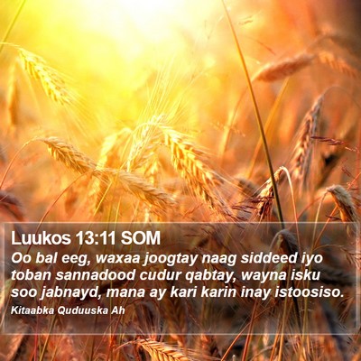 Luukos 13:11 SOM Bible Verse Image