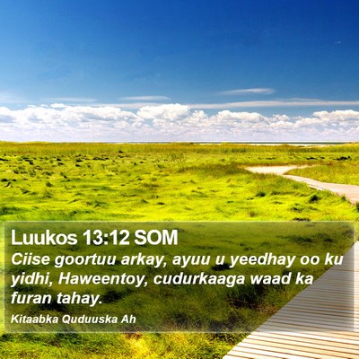 Luukos 13:12 SOM Bible Verse Image
