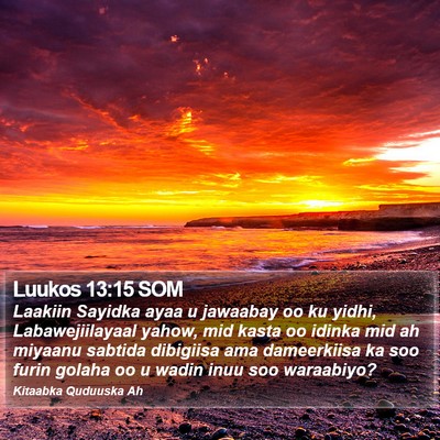 Luukos 13:15 SOM Bible Verse Image