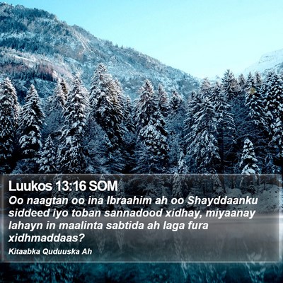 Luukos 13:16 SOM Bible Verse Image