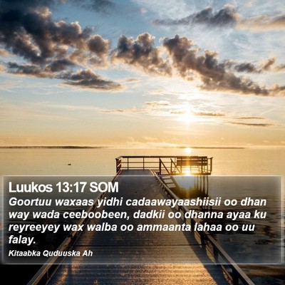 Luukos 13:17 SOM Bible Verse Image