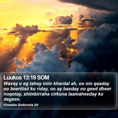 Luukos 13:19 SOM Bible Verse Image