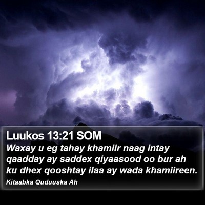 Luukos 13:21 SOM Bible Verse Image
