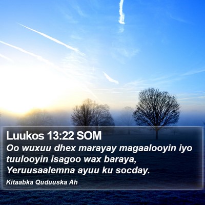 Luukos 13:22 SOM Bible Verse Image