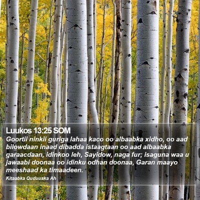 Luukos 13:25 SOM Bible Verse Image