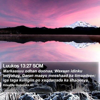 Luukos 13:27 SOM Bible Verse Image