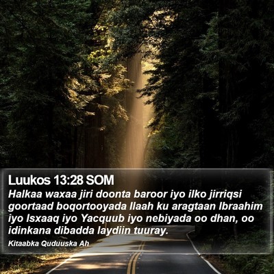Luukos 13:28 SOM Bible Verse Image