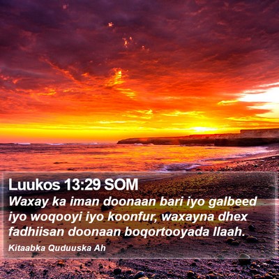 Luukos 13:29 SOM Bible Verse Image