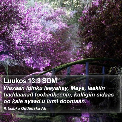 Luukos 13:3 SOM Bible Verse Image