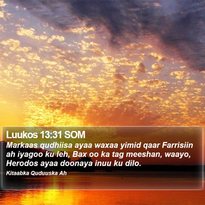 Luukos 13:31 SOM Bible Verse Image
