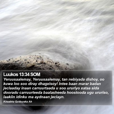 Luukos 13:34 SOM Bible Verse Image