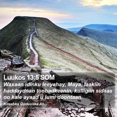 Luukos 13:5 SOM Bible Verse Image