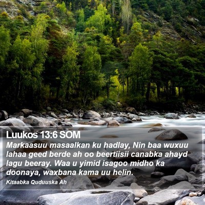 Luukos 13:6 SOM Bible Verse Image