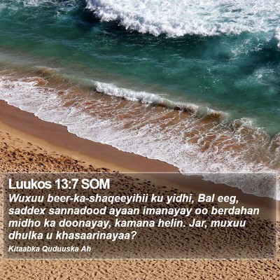 Luukos 13:7 SOM Bible Verse Image