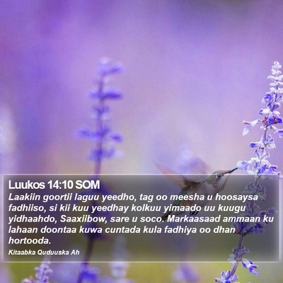Luukos 14:10 SOM Bible Verse Image