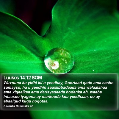 Luukos 14:12 SOM Bible Verse Image
