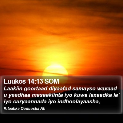Luukos 14:13 SOM Bible Verse Image