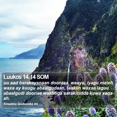 Luukos 14:14 SOM Bible Verse Image