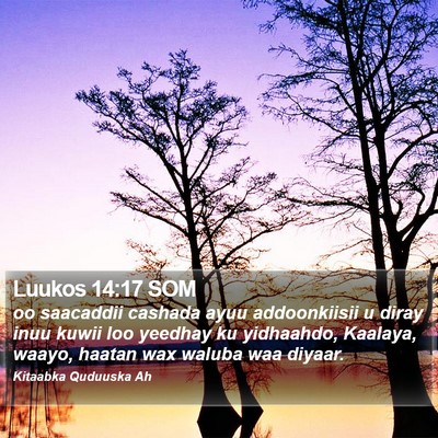 Luukos 14:17 SOM Bible Verse Image