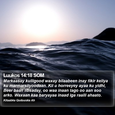 Luukos 14:18 SOM Bible Verse Image
