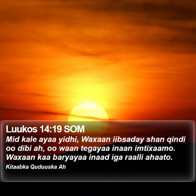 Luukos 14:19 SOM Bible Verse Image