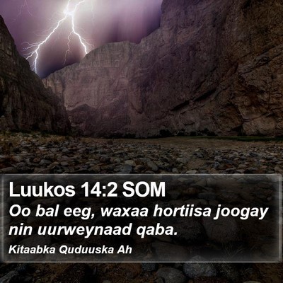 Luukos 14:2 SOM Bible Verse Image