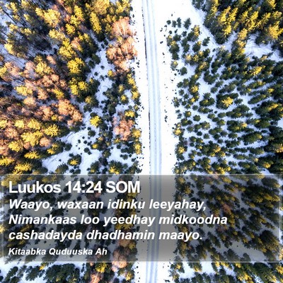 Luukos 14:24 SOM Bible Verse Image