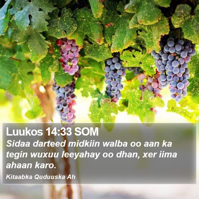 Luukos 14:33 SOM Bible Verse Image