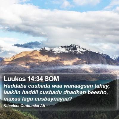 Luukos 14:34 SOM Bible Verse Image