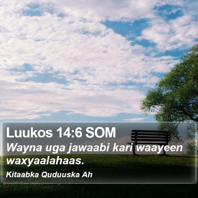 Luukos 14:6 SOM Bible Verse Image