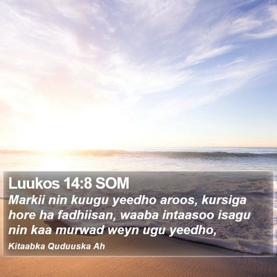 Luukos 14:8 SOM Bible Verse Image