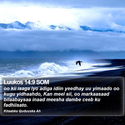 Luukos 14:9 SOM Bible Verse Image