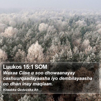 Luukos 15:1 SOM Bible Verse Image