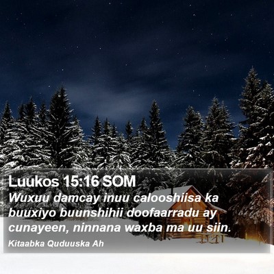 Luukos 15:16 SOM Bible Verse Image