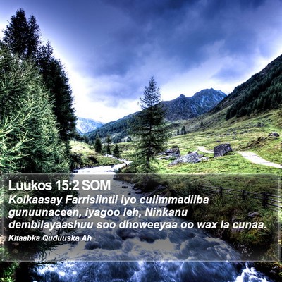 Luukos 15:2 SOM Bible Verse Image